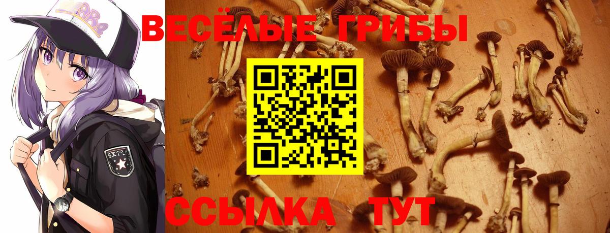 Галлюциногенные грибы прущие грибы Соликамск