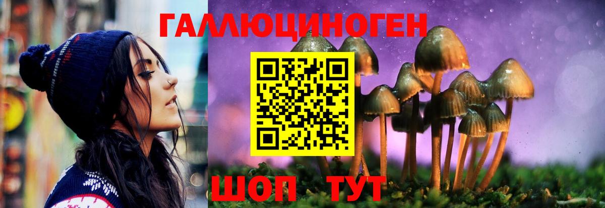 Соликамск  Псилоцибиновые грибы GOLDEN TEACHER  Вход с VPN  Галлюциногенные грибы MAGIC MUSHROOMS 