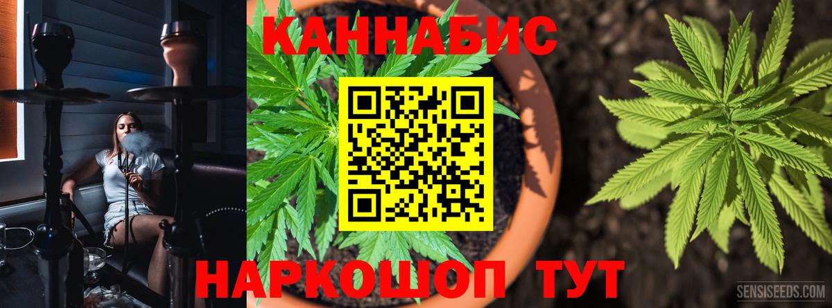 Бошки марихуана OG Kush Соликамск